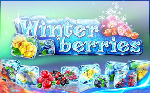 Winter Berries